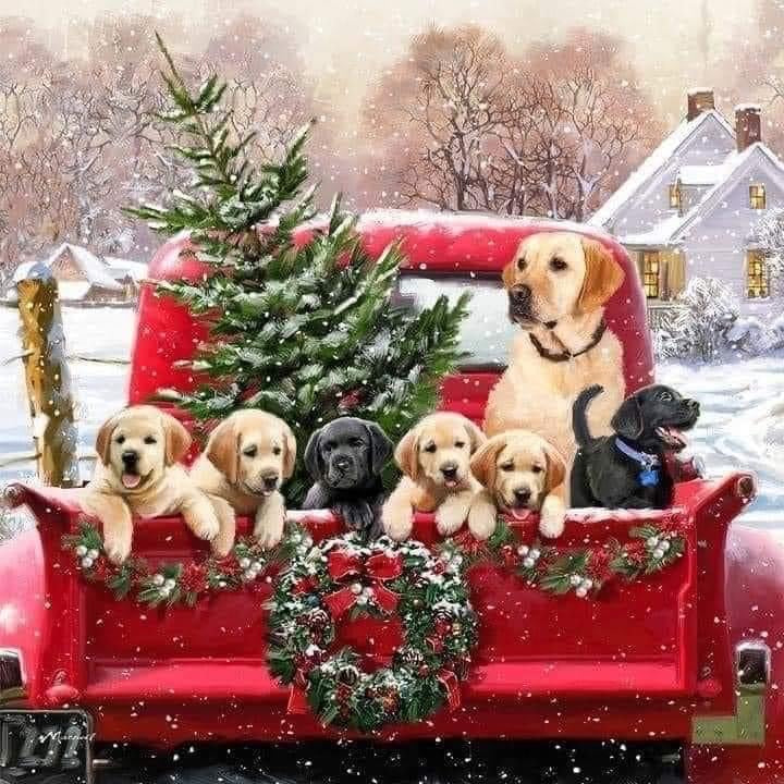 Dog Christmas Truck